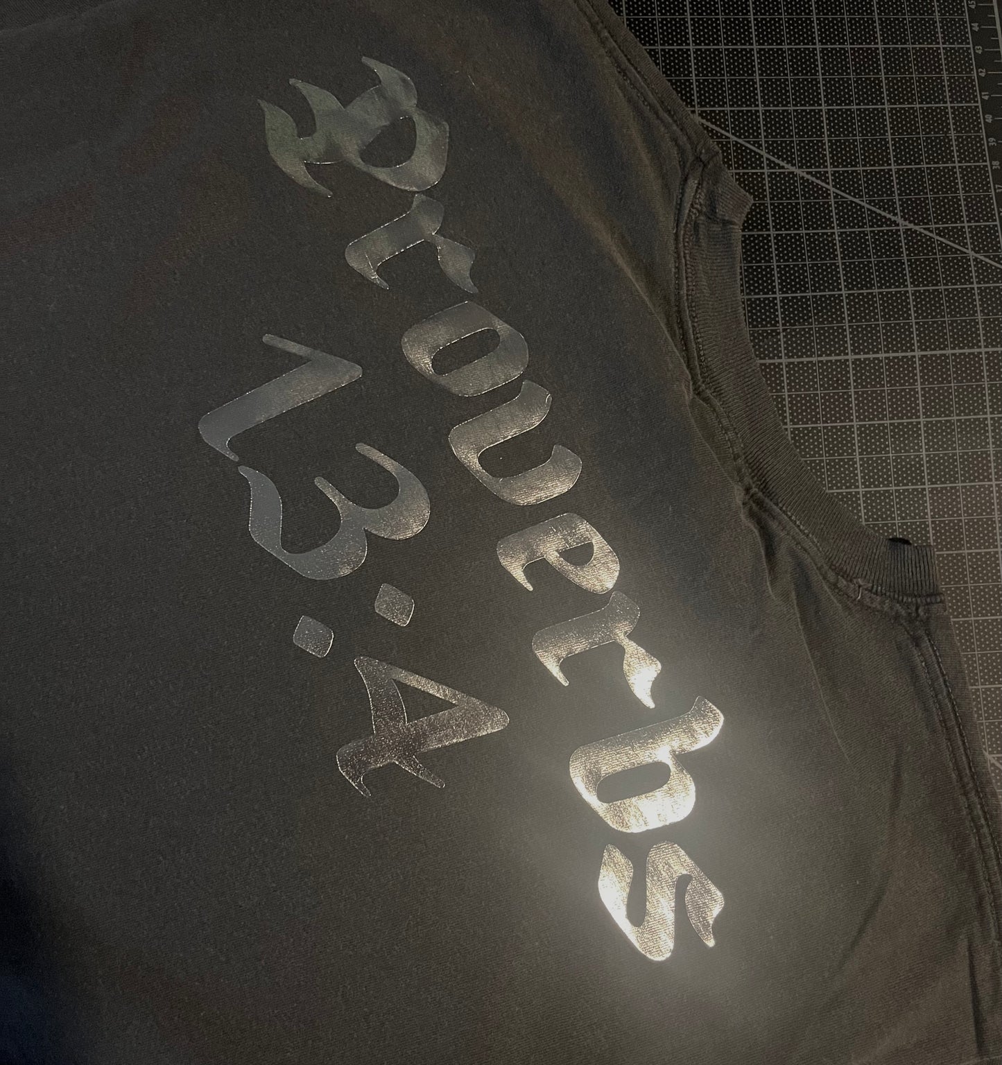 Proverbs 13:4 ChromeCross Washed Tee